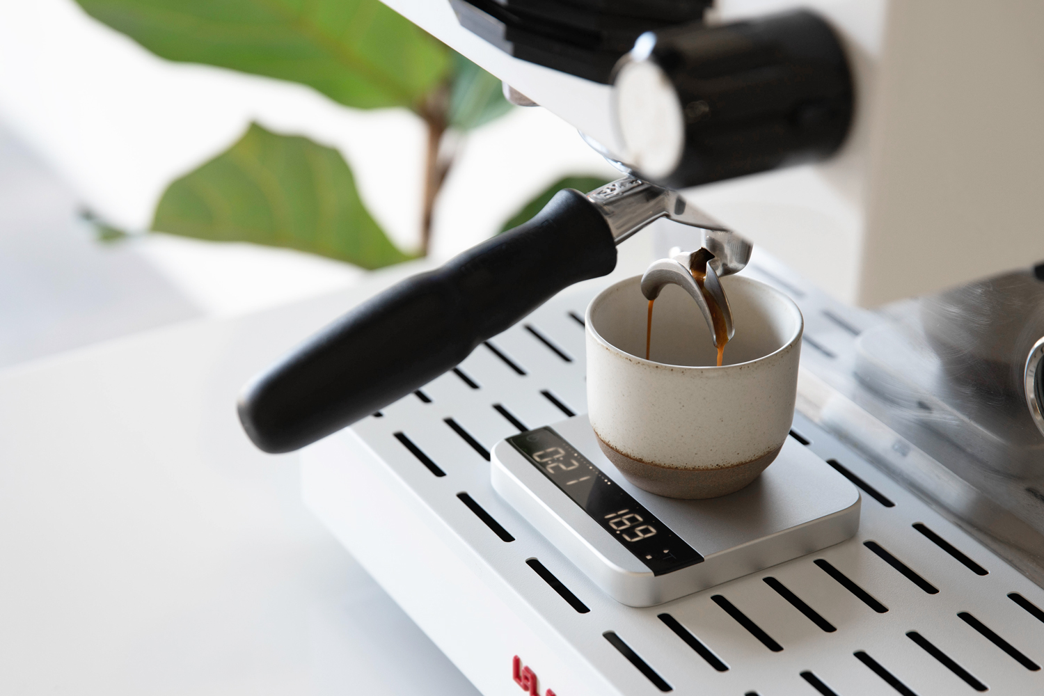 AL009_Acaia Lunar 2021 Silver Lifestyle 2.jpg